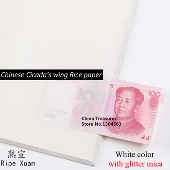 10 yaprak Çok İnce Çin Ağustosböceği Kanat Pirinç Kağıdı Mika Olgun Xuan Kağıt Çin Gongbi Boyama Shou Xuan Zhi