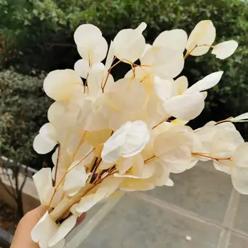 50g/20-35 cm, Doğal Korunmuş Okaliptüs Yaprakları Buket, Ebedi ekran düzenlemek çiçekler Düğün Ev Dekorasyon aksesuarları için