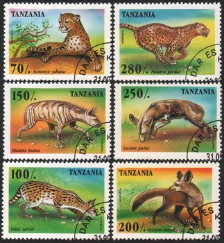 6 Adet / takım Tanzanya Posta Pulları 1995 Kurt Leoparlar Vahşi Hayvanlar Kullanılan Posta İşaretli Posta Pulları Toplamak için